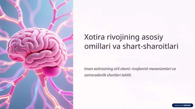 Xotira rivojining asosiy omillari va shart-sharoitlari