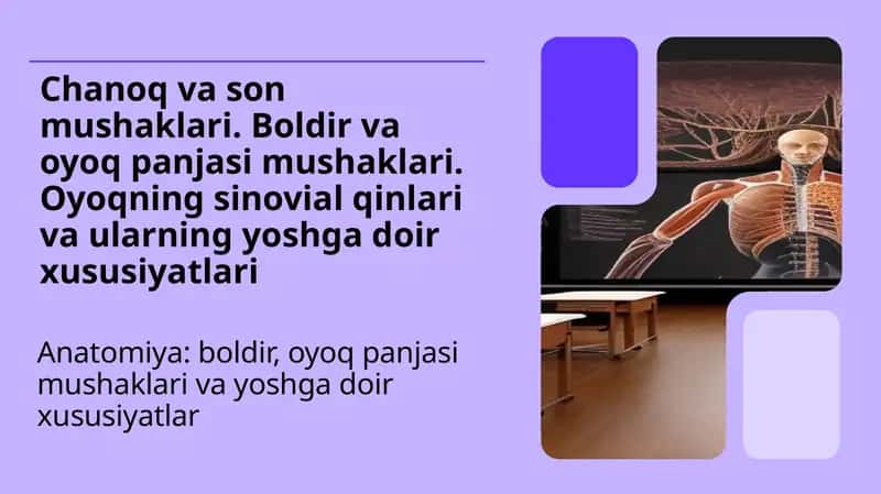 Chanoq va son mushaklari. Boldir va oyoq panjasi mushaklari. Oyoqning sinovial qinlari va ularning yoshga doir xususiyatlari