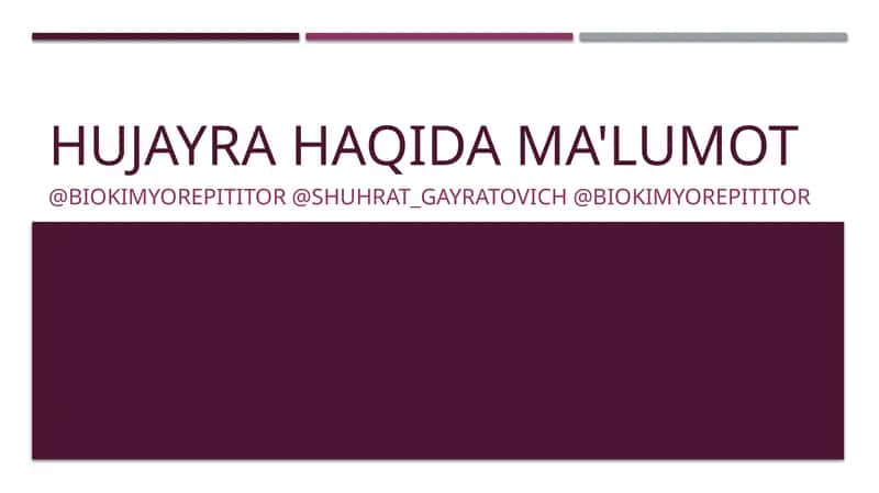 HUJAYRA HAQIDA MA'LUMOT