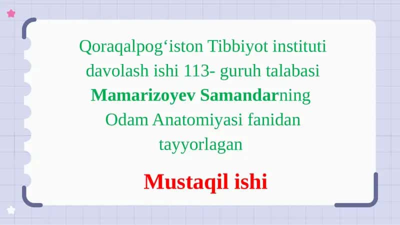 Odam Anatomiyasi