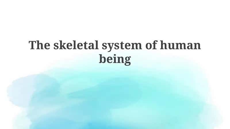 The skeletal system of human being