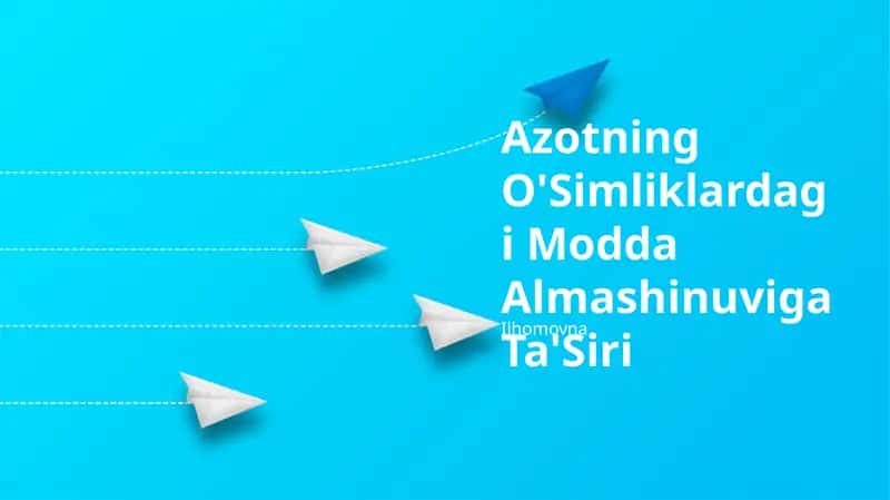 Azotning O'Simliklardagi Modda Almashinuviga Ta'Siri Ilhomovna