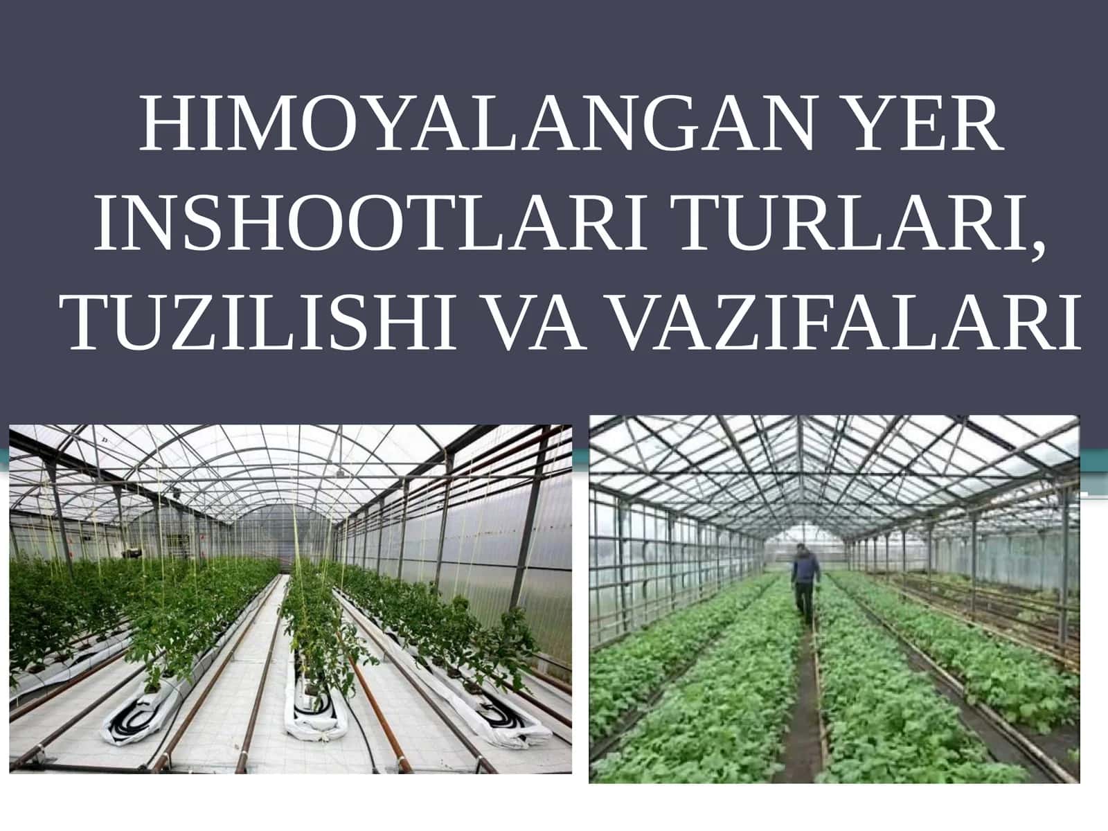 Yopiq (himoyalangan) maydon inshootlari turlari, tuzilishi va vazifalari