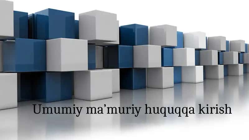 Umumiy ma’muriy huquqqa kirish