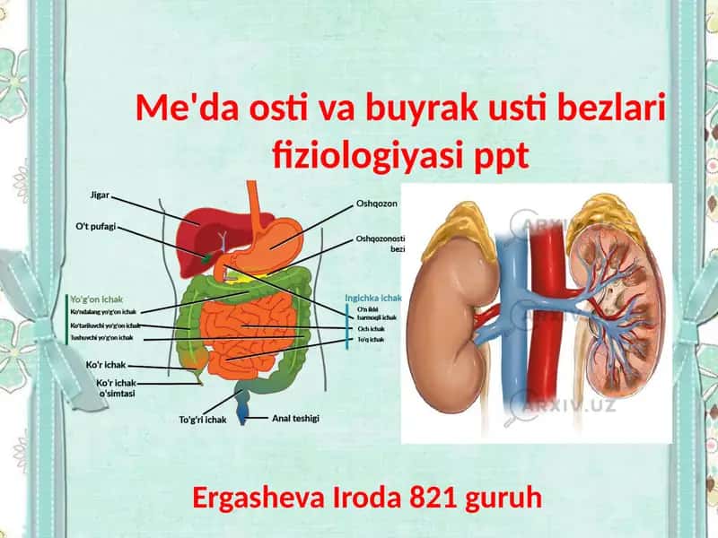 Me'da osti va buyrak usti bezlari fiziologiyasi ppt