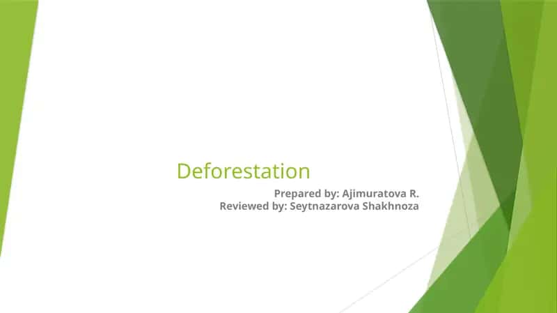 Deforestation