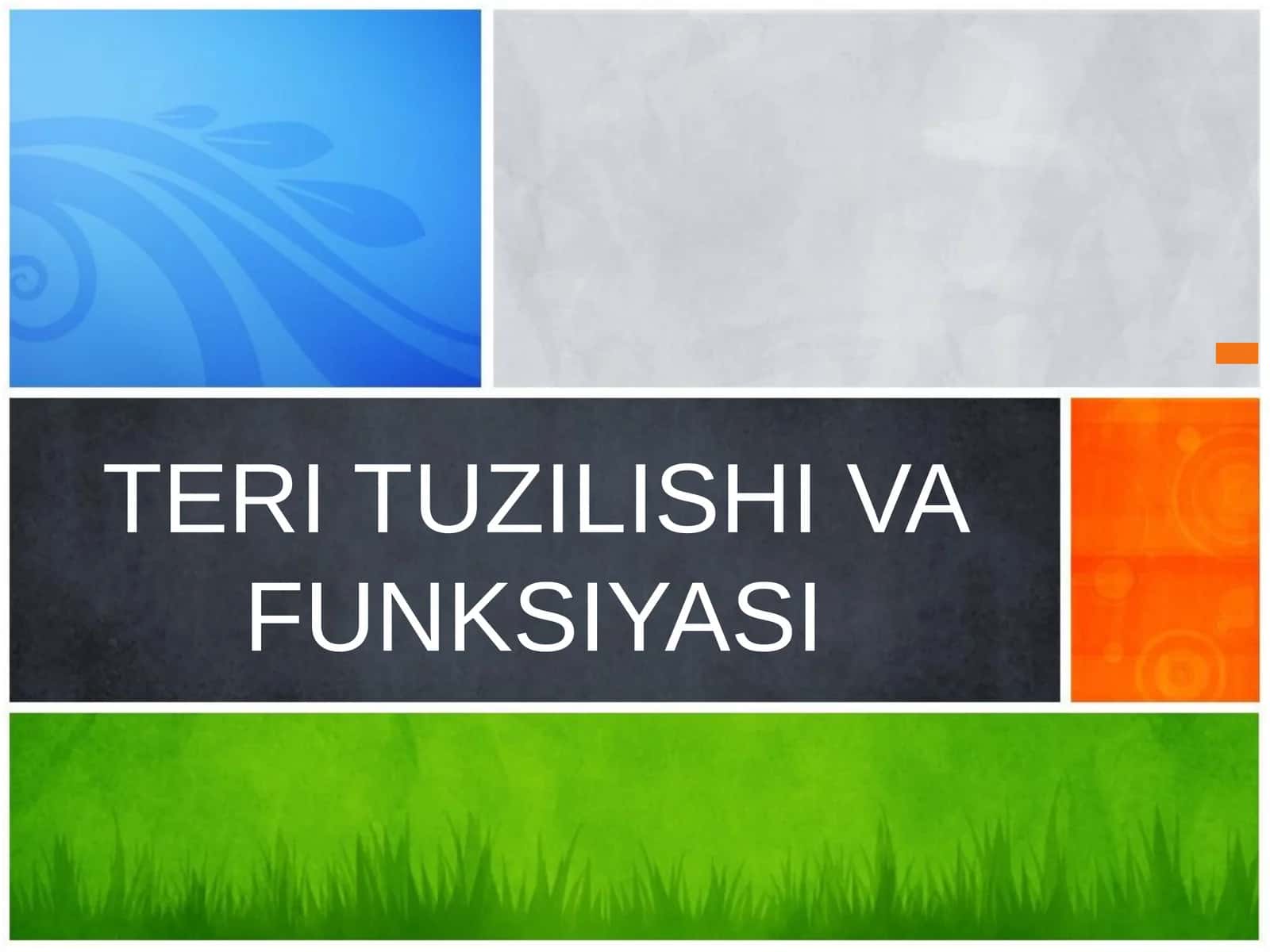 TERI TUZILISHI VA FUNKSIYASI