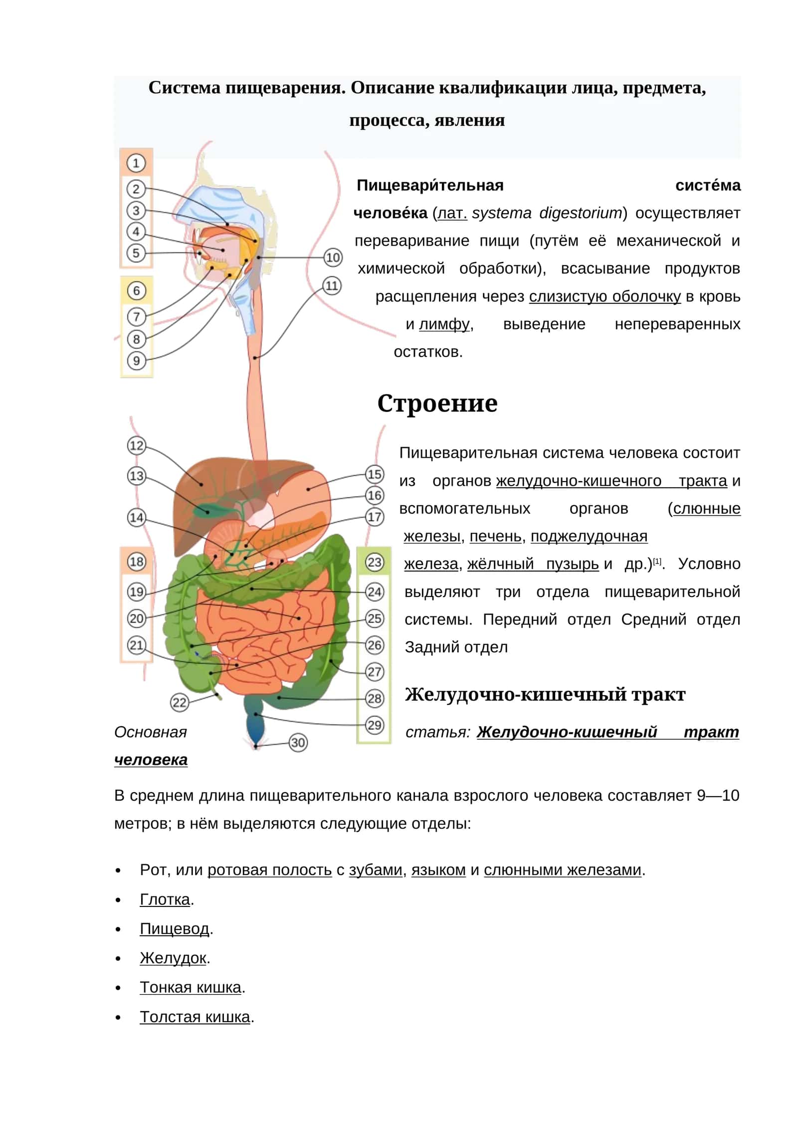 Пищевари́тельная систе́ма