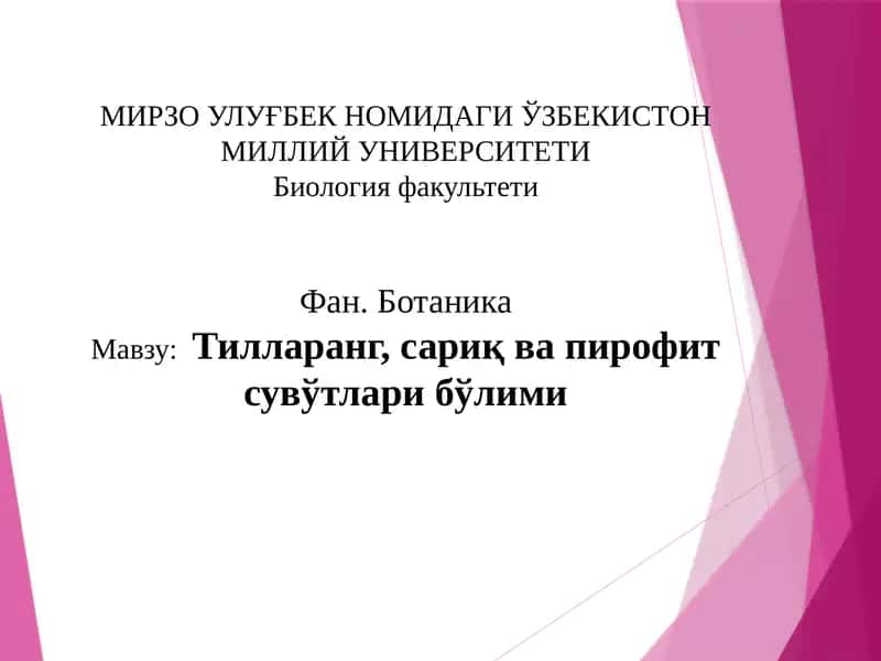 Ботаника