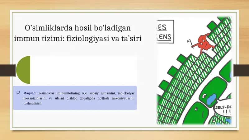O’simliklarda hosil bo’ladigan immun tizimi: fiziologiyasi va ta’siri