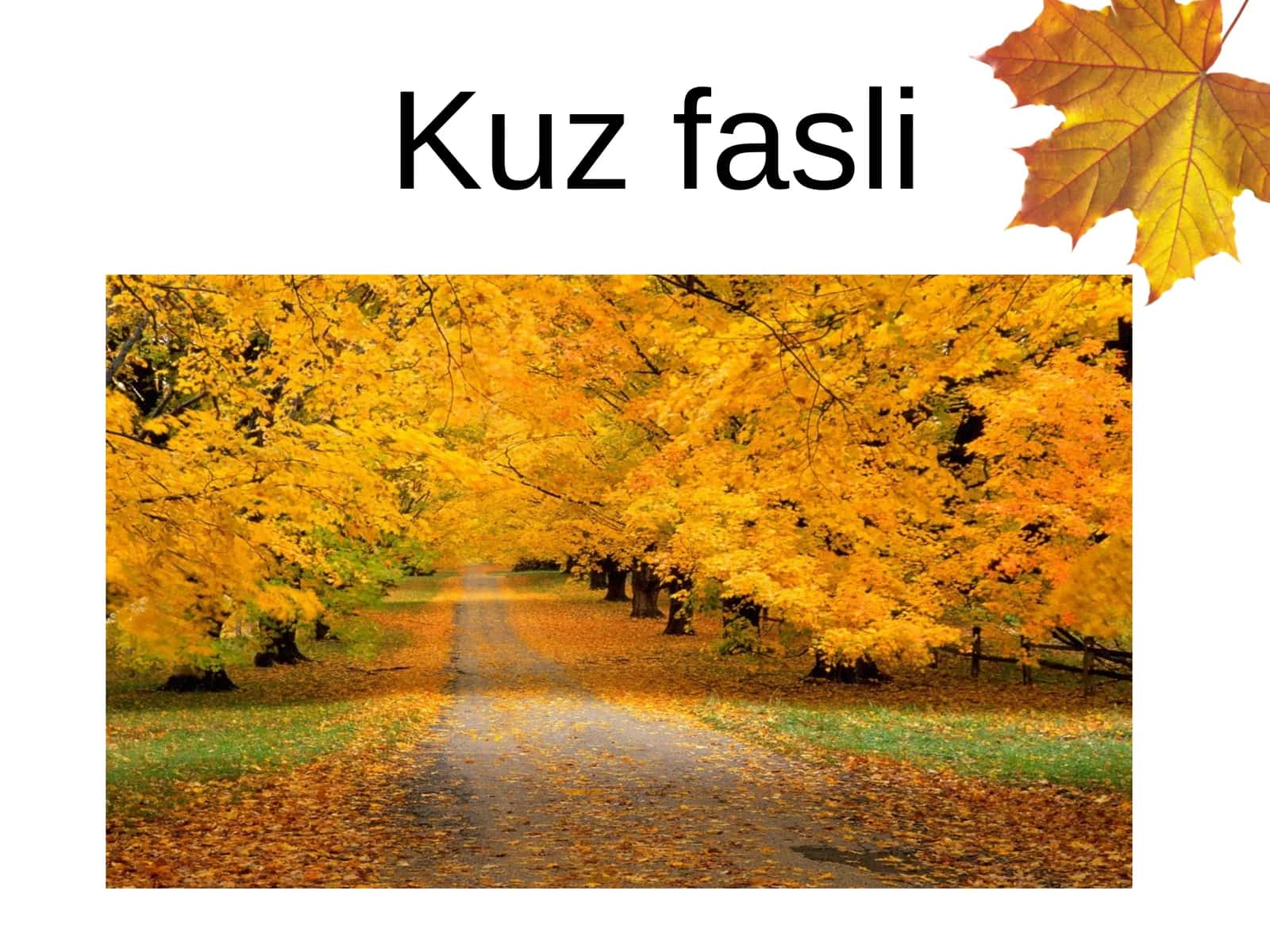 Oltin kuz mavzusida ochiq dars ishlanmalar va taqdimotlar