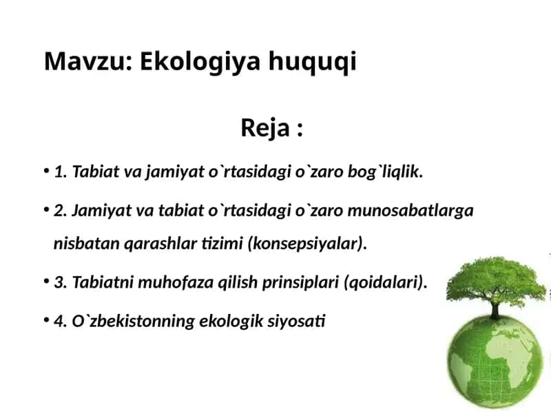 Ekologiya muammosi