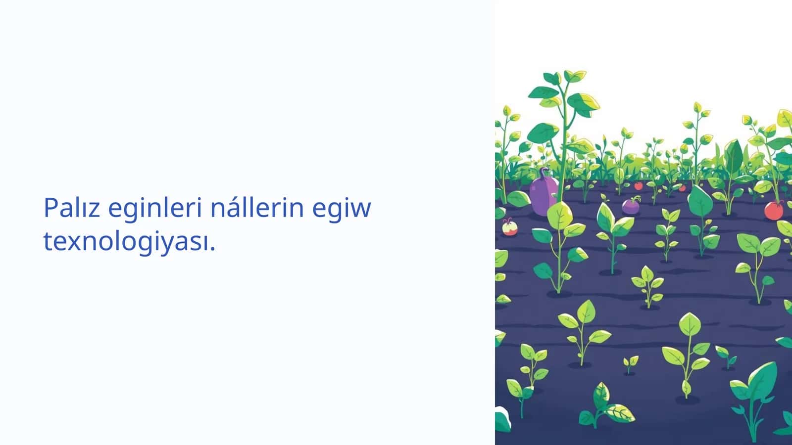 Palız eginleri nállerin egiw texnologiyası