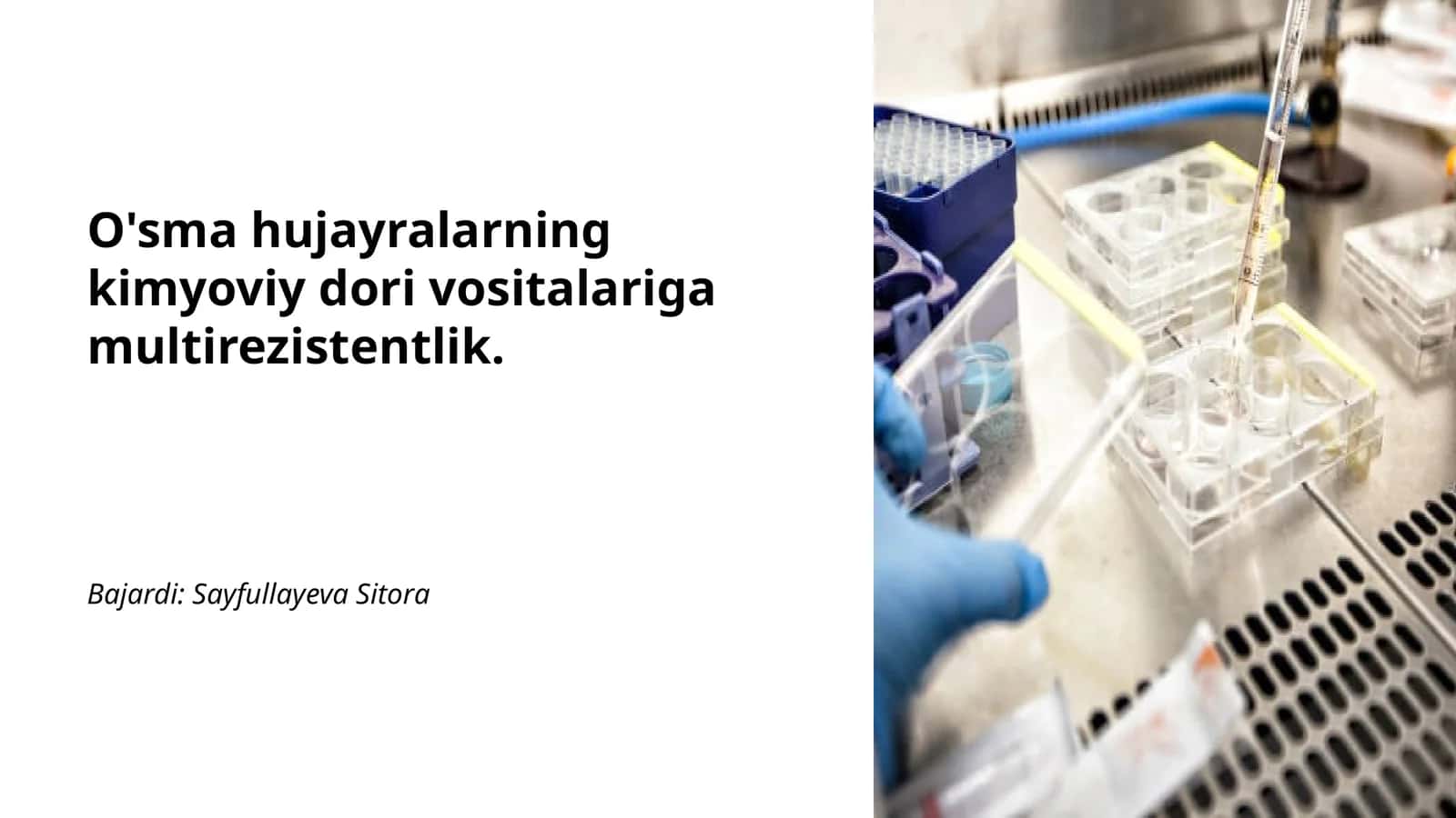 O'sma hujayralarning kimyoviy dori vositalariga multirezistentlik