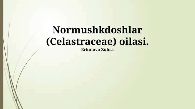 Normushkdoshlar (Celastraceae) oilasi