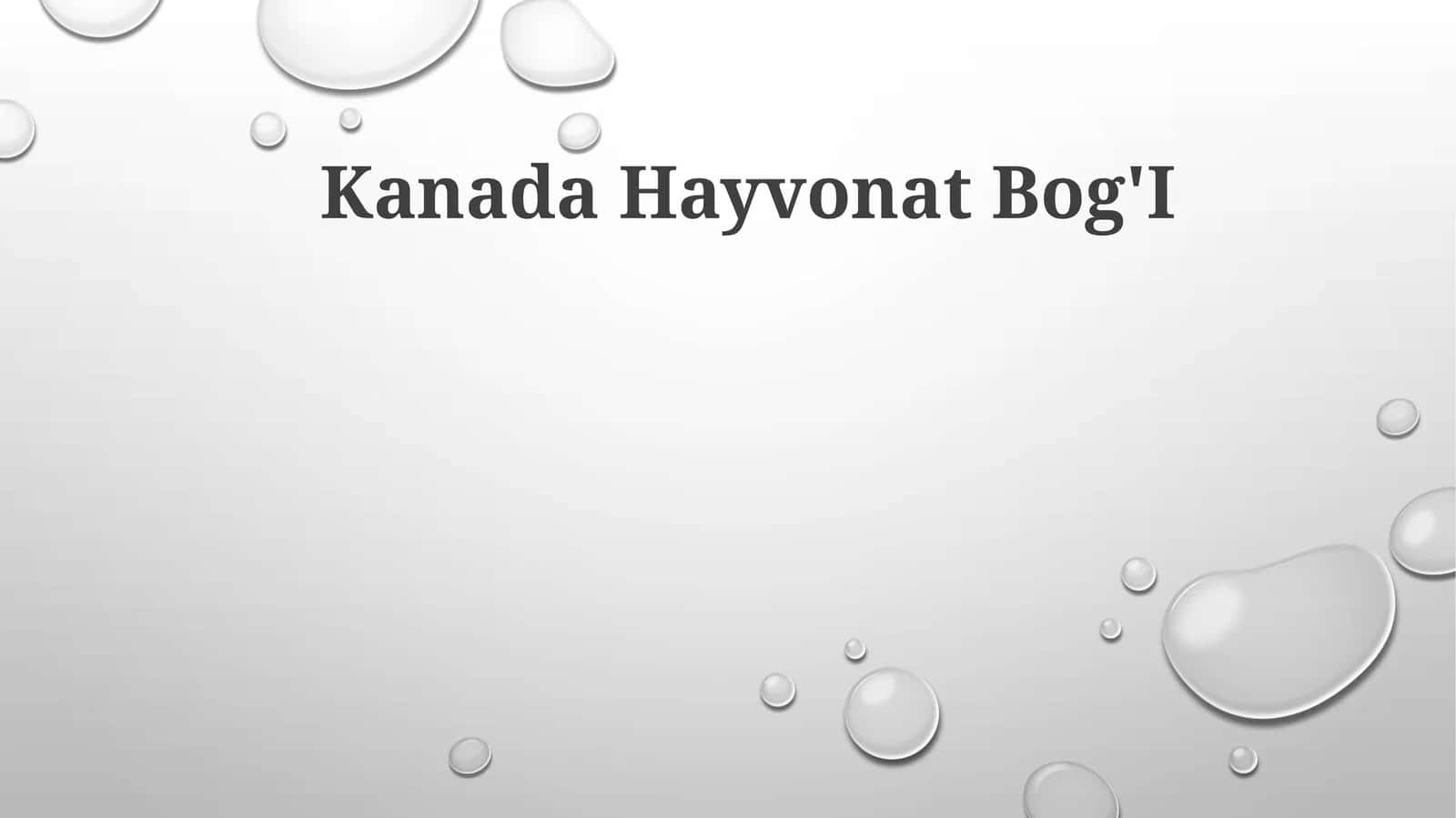 Kanada Hayvonat Bog'I