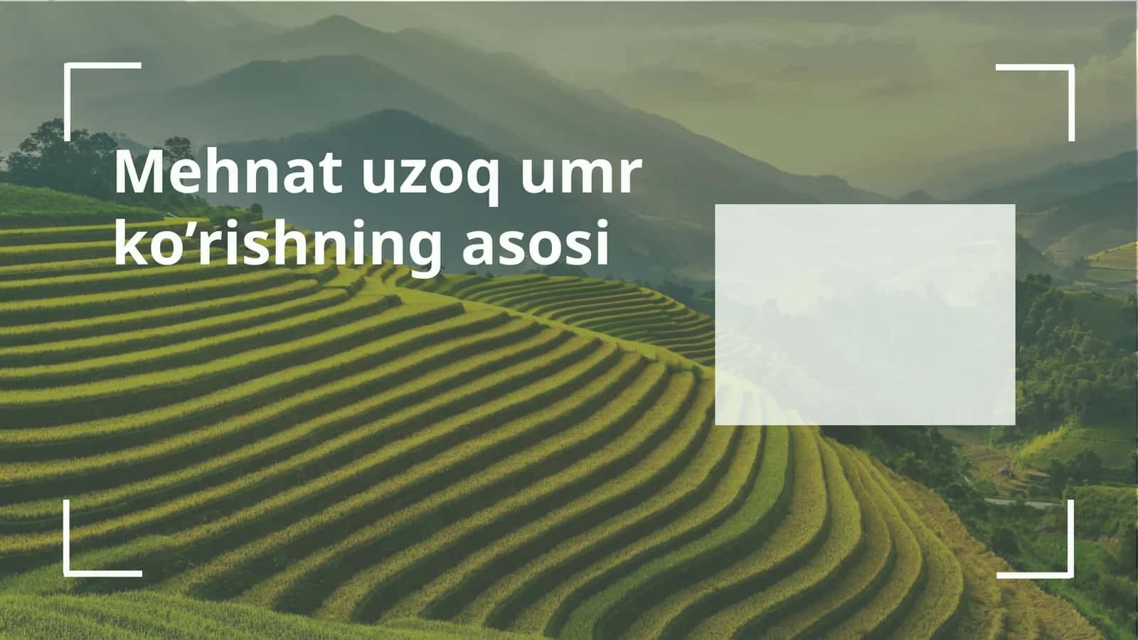 Mehnat uzoqumr ko’rishning asosi