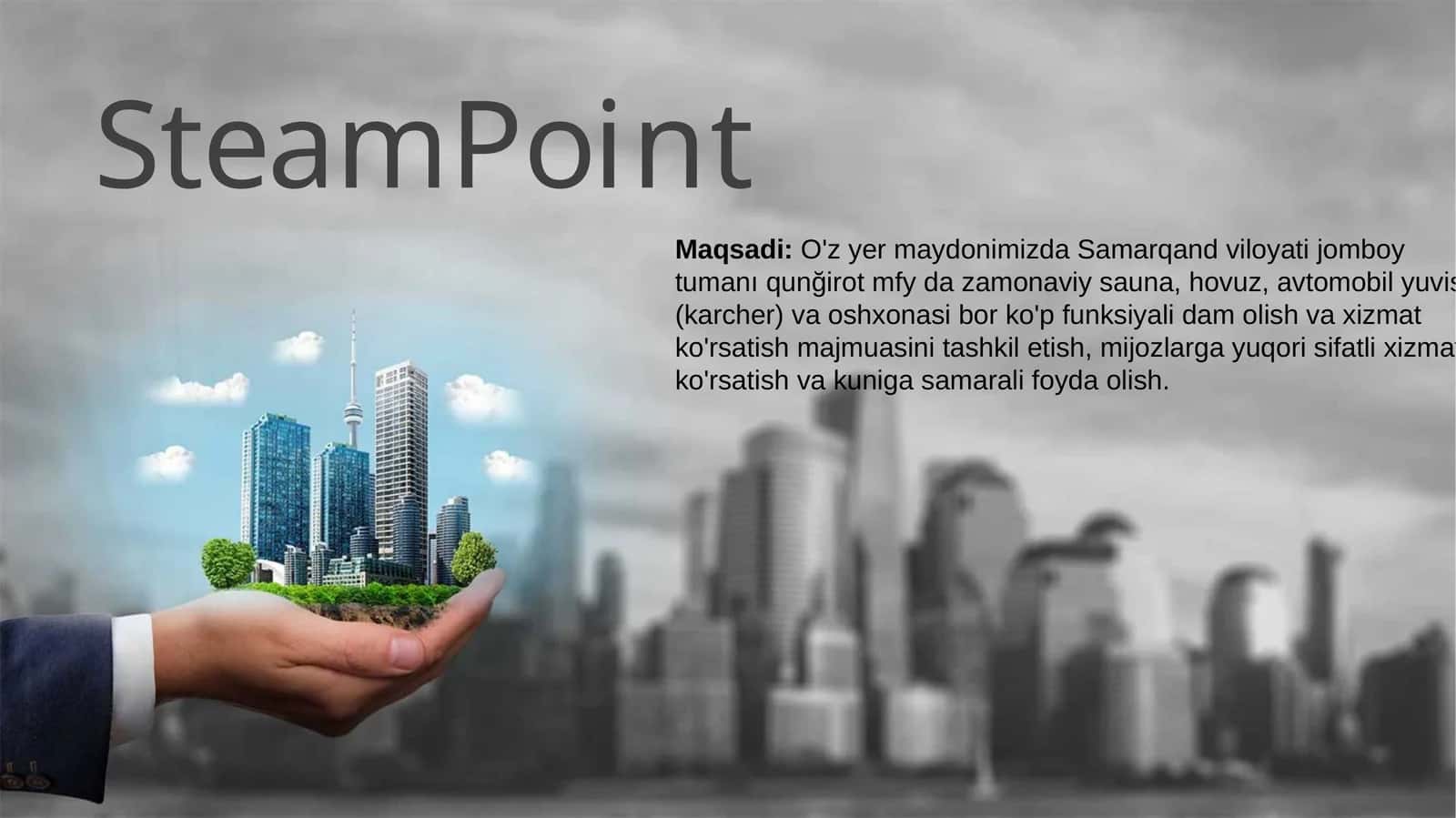 SteamPoint