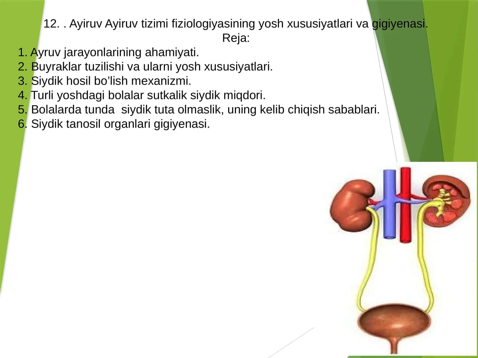 Ayiruv Ayiruv tizimi fiziologiyasining yosh xususiyatlari va gigiyenasi