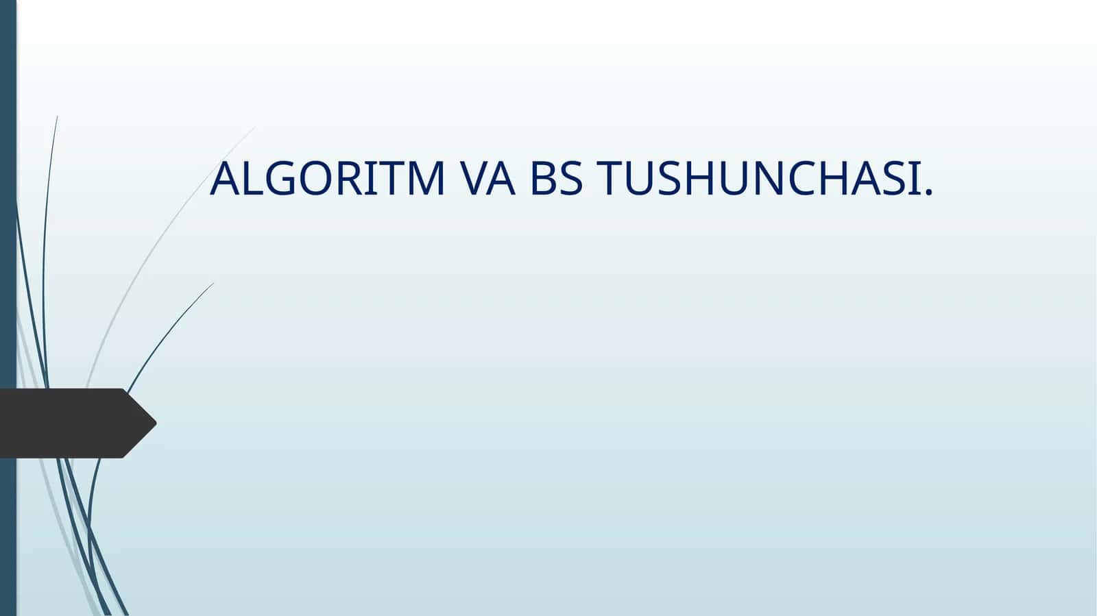 ALGORITM VA BS TUSHUNCHASI