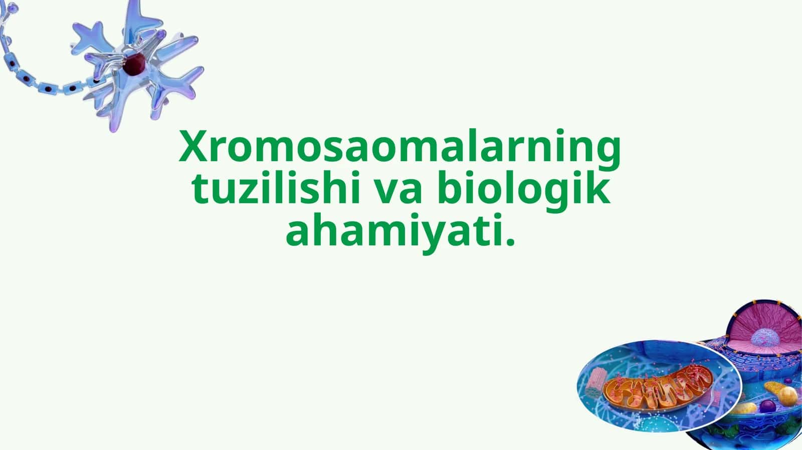Xromosaomalarning tuzilishi va biologik ahamiyati.