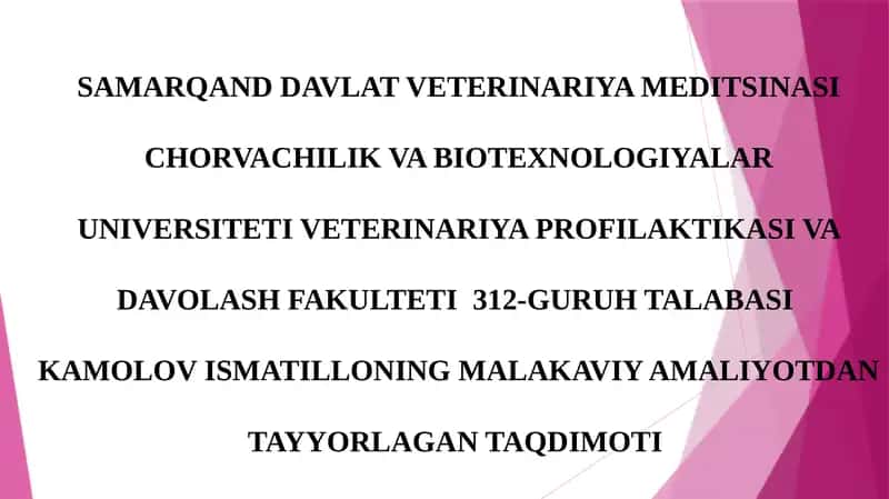 KAMOLOV ISMATILLONING MALAKAVIY AMALIYOTDAN TAYYORLAGAN TAQDIMOTI