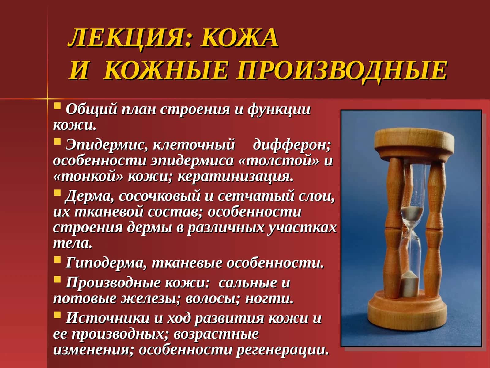 Кожаи кожные производные