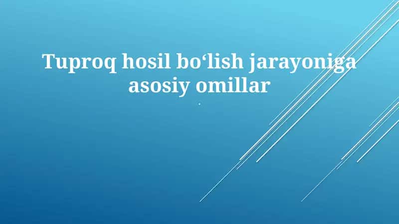 Tuproq hosil bo'lish jarayoni