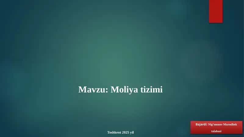 Moliya tizimi