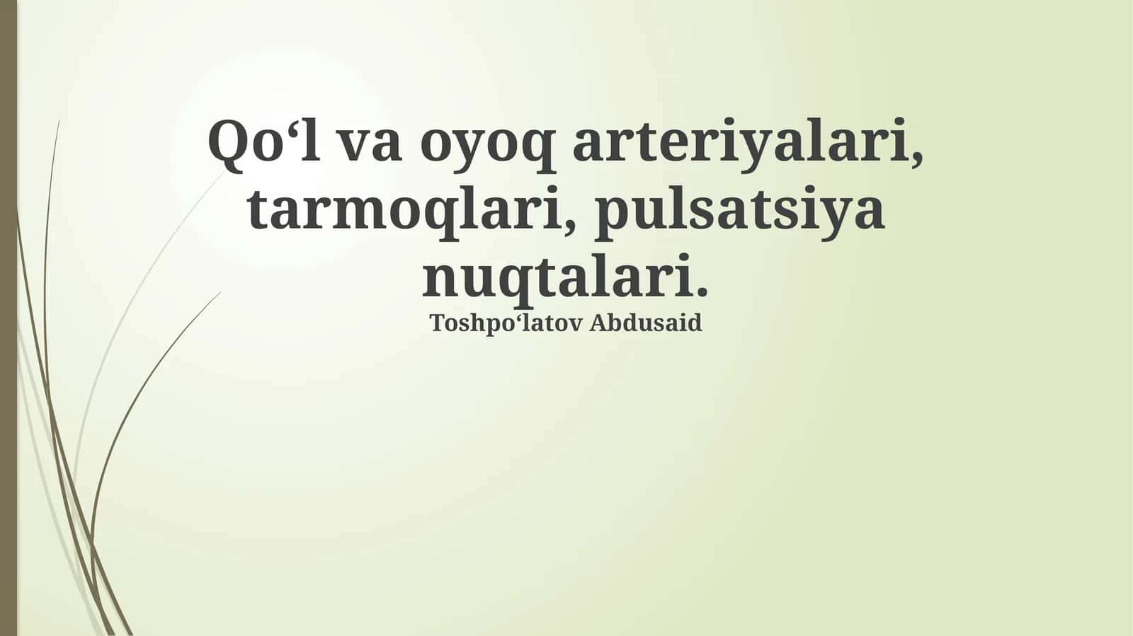 Qo‘l va oyoq arteriyalari, tarmoqlari, pulsatsiya nuqtalari