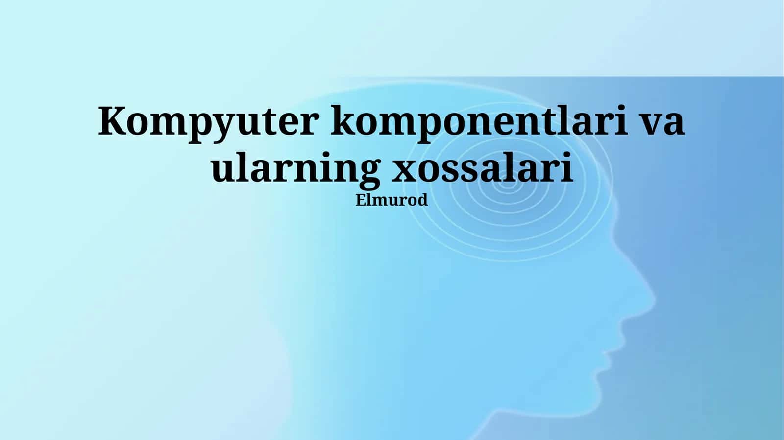 Video Karta