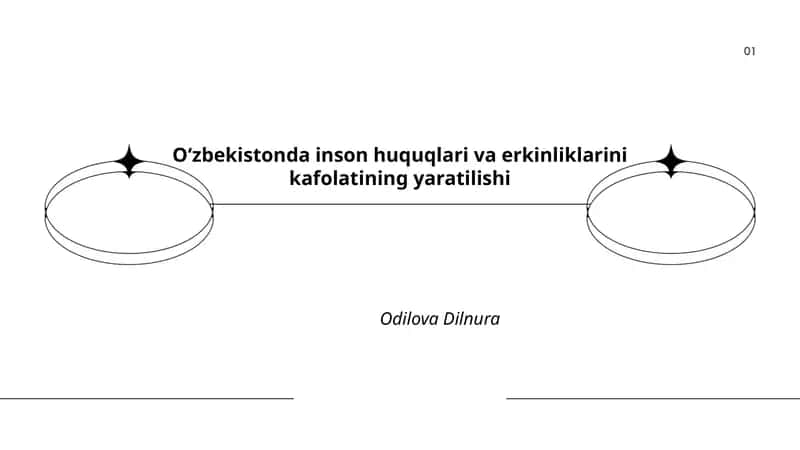 Oʻzbekistonda inson huquqlari va erkinliklarini kafolatining yaratilishi