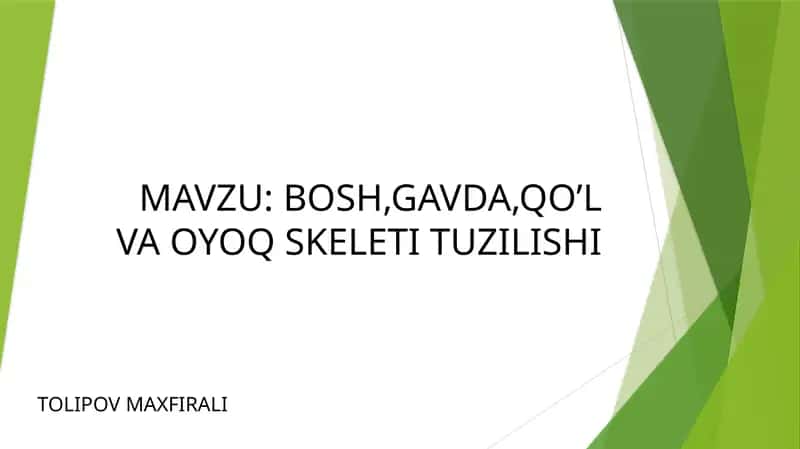 BOSH,GAVDA,QO’L VA OYOQ SKELETI TUZILISHI