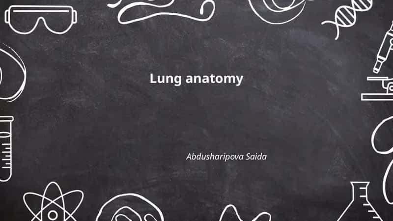 Lung anatomy