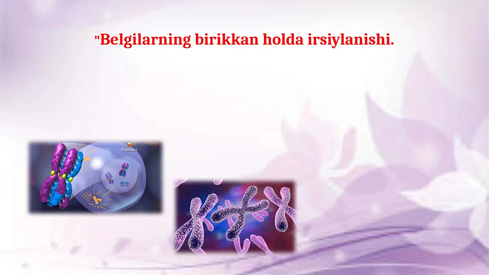 Jinsiy xromosomalar va avlodlar. Belgilarning birikkan holda irsiylanishi