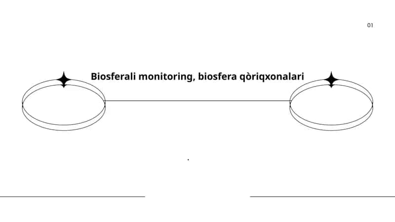 Biosferali monitoring, biosfera qòriqxonalari