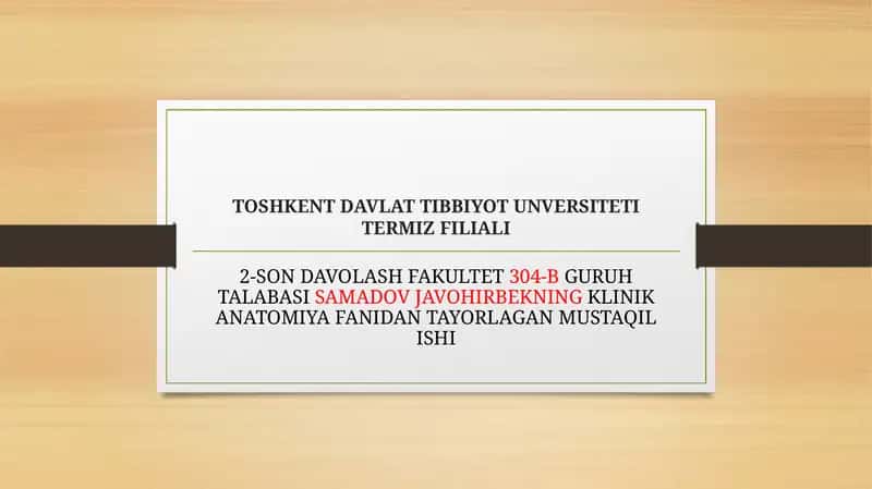 Transport immobilizatsiyasi
