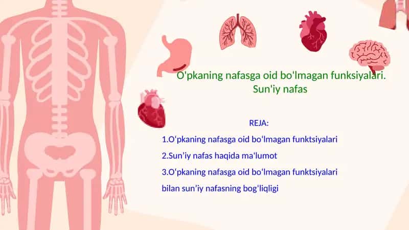 O'pkaning nafasga oid bo'lmagan funksiyalari. Sun'iy nafas