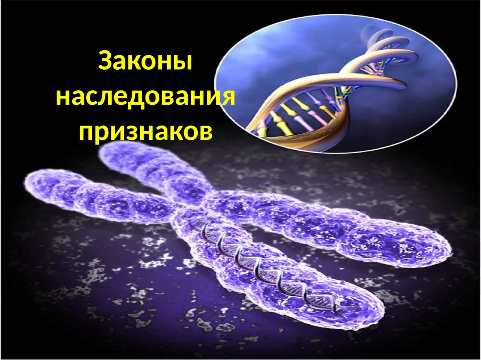 Генетика