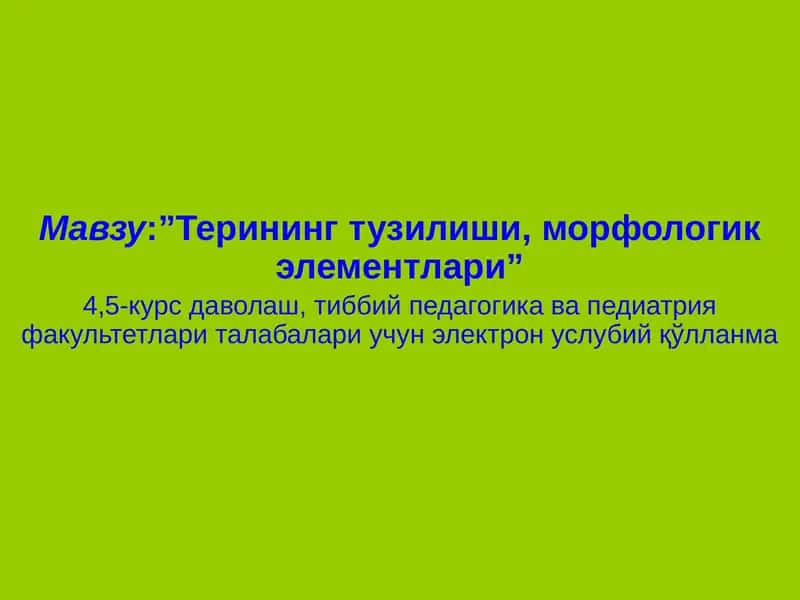 Терининг тузилиши, морфологик элементлари”