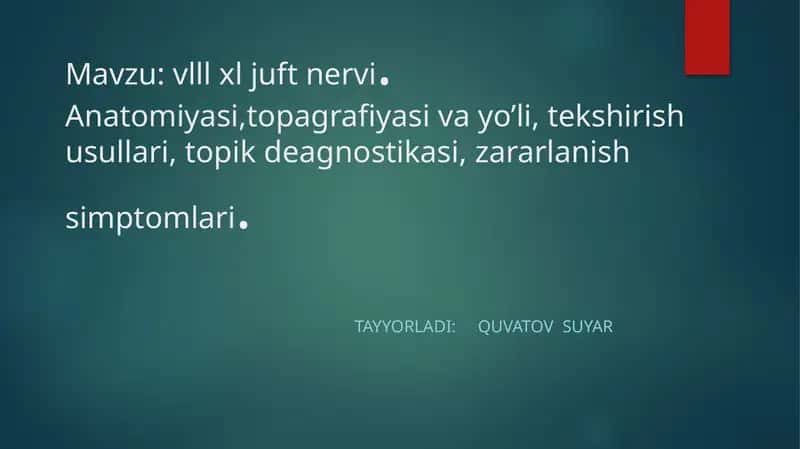 VIII JUFT DAHLIZ-CHIG‘ANOQ NERVI (n.vestibulocohlearis)
