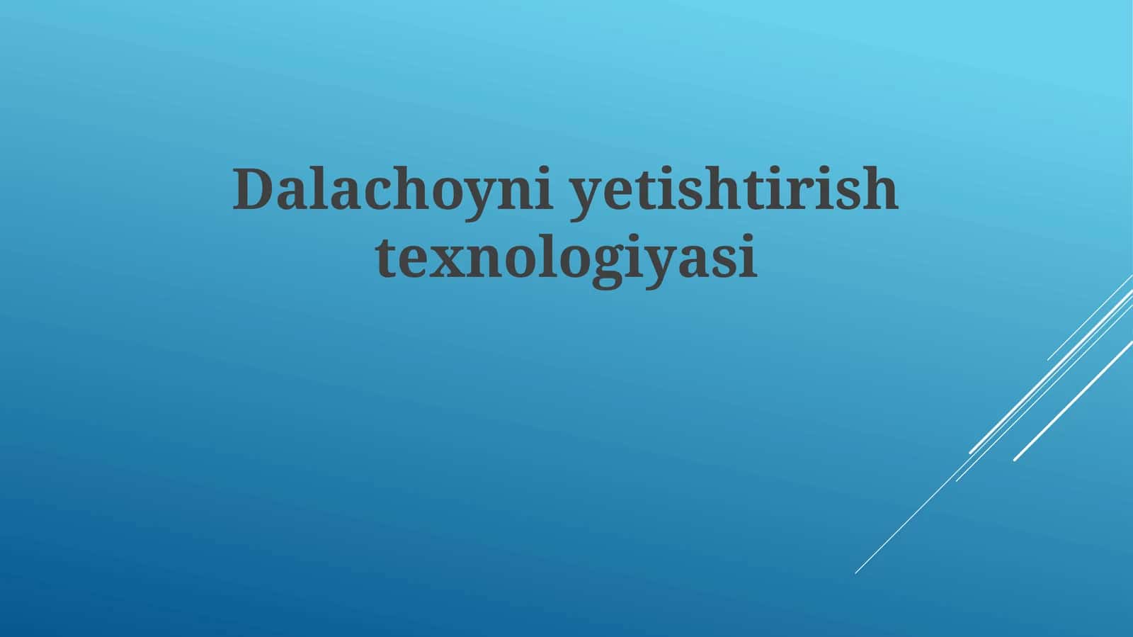 Dalachoyni yetishtirish texnologiyalari