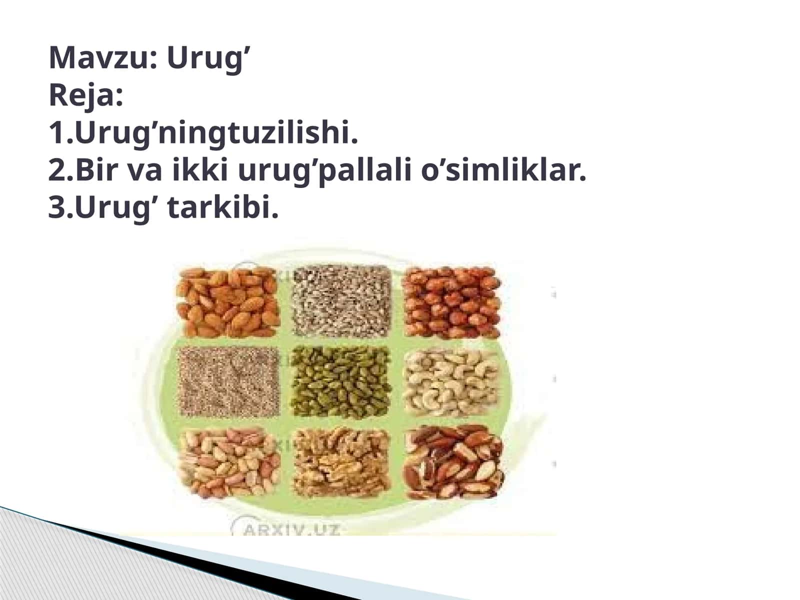 Urug’ningtuzilishi