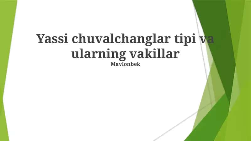 Yassi chuvalchanglar tipi va ularning vakillar