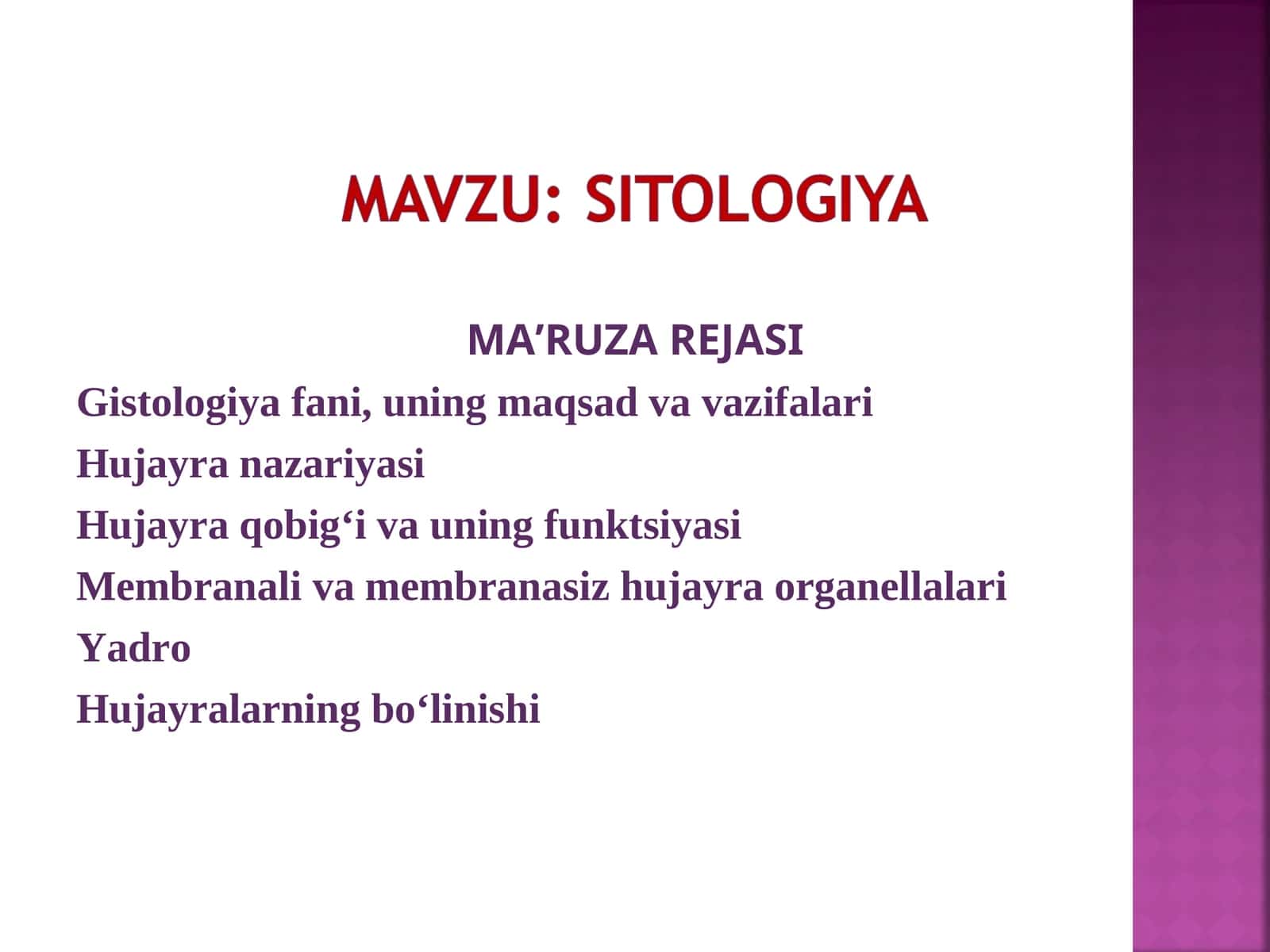 Ma’ruza rejasi