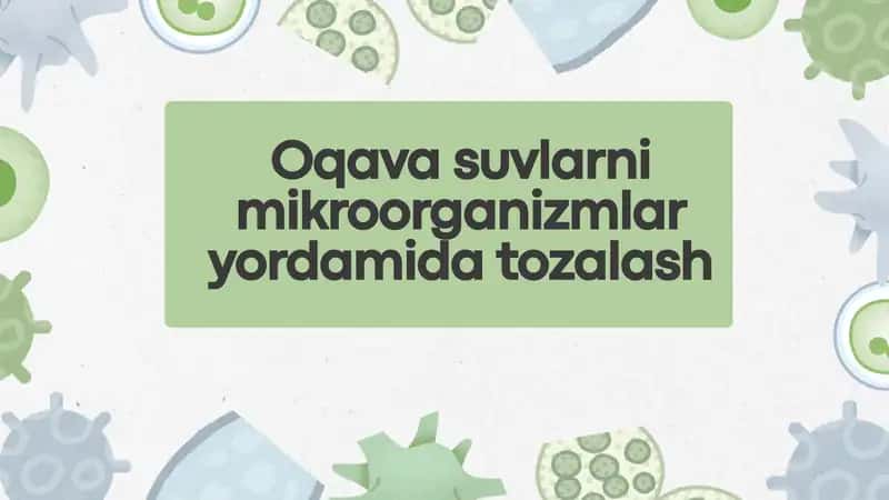 Oqava suvlarni mikroorganizmlar yordamida tozalash