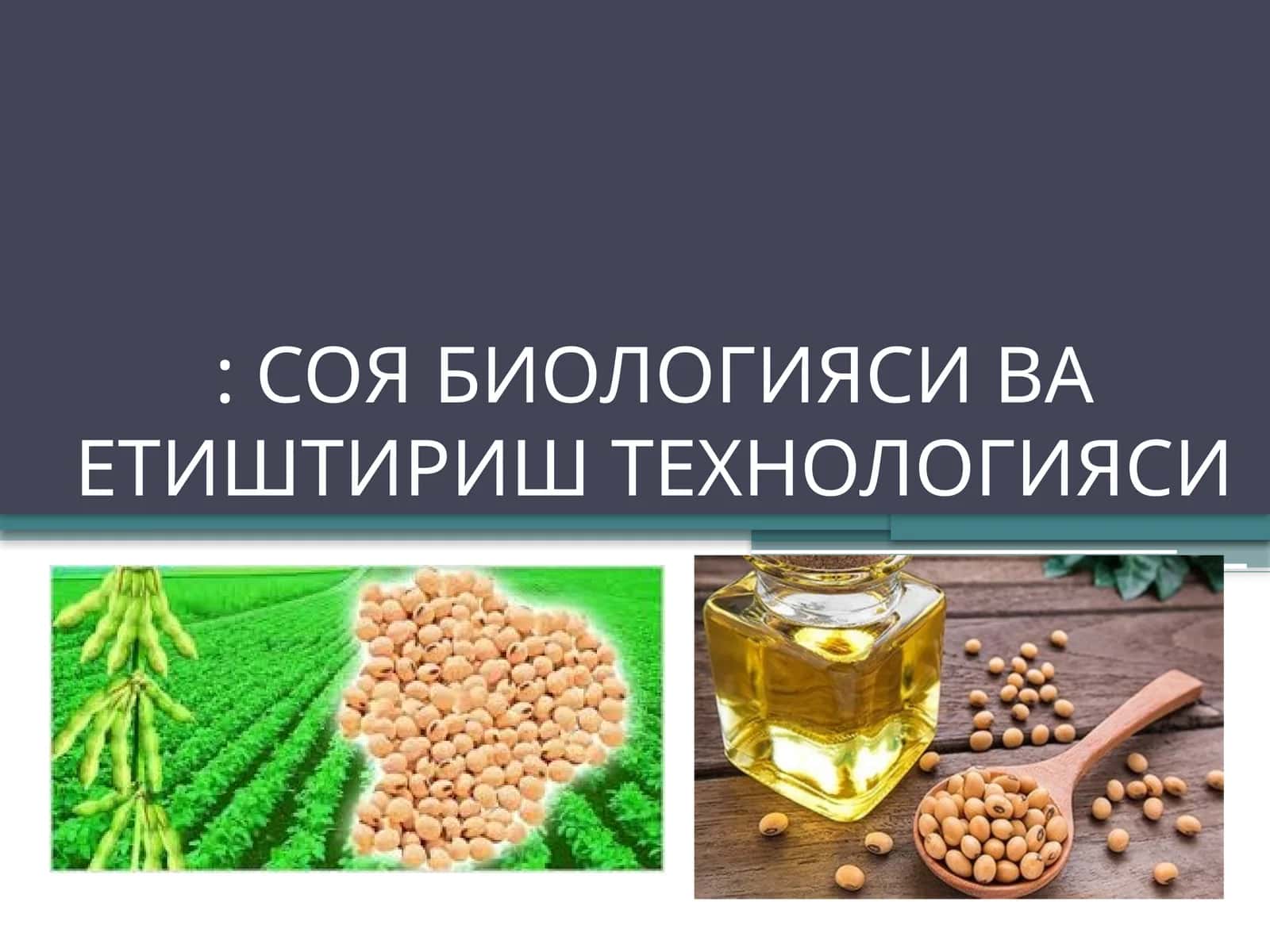 Соя биологияси ва етиштириш технологияси