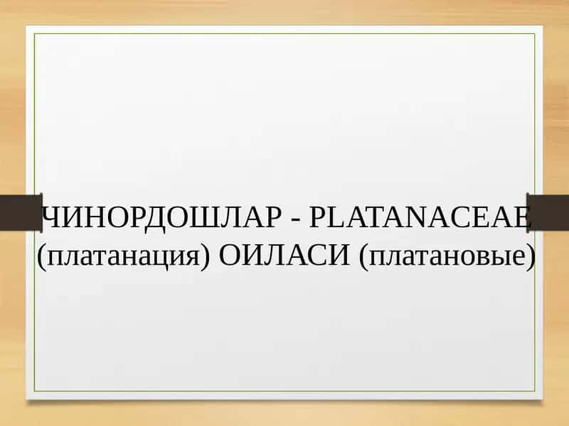 Чинордошлар- PLATANACEAE (платанация) ОИЛАСИ (платановые)
