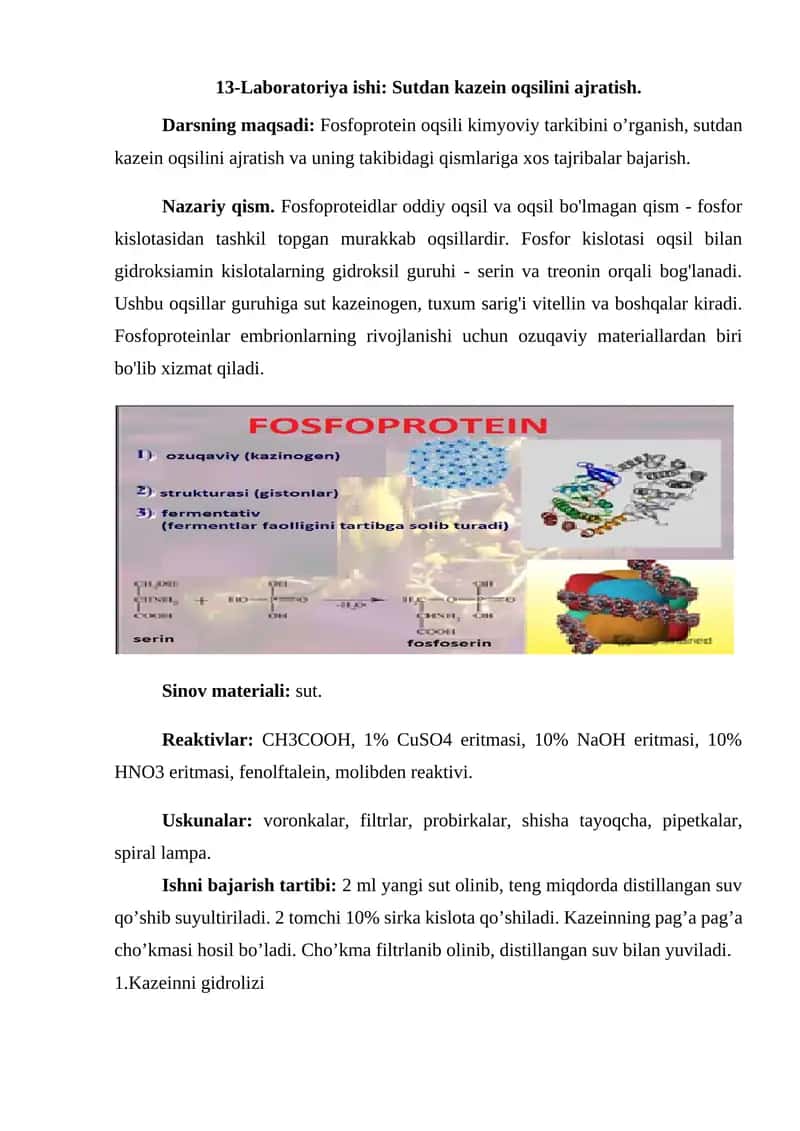 13-Laboratoriya ishi: Sutdan kazein oqsilini ajratish