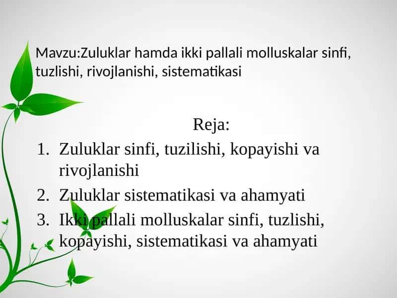 Zuluklar hamda ikki pallali molluskalar sinfi, tuzilishi, rivojlanishi, sistematikasi